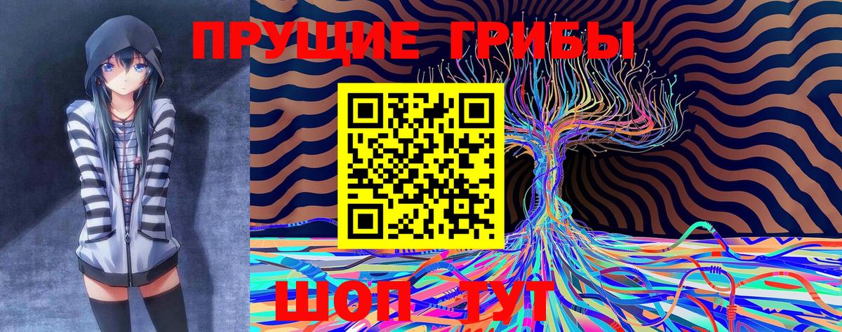 Галлюциногенные грибы MAGIC MUSHROOMS  Псилоцибиновые грибы Psilocybe  Кстово  Вход с VPN 