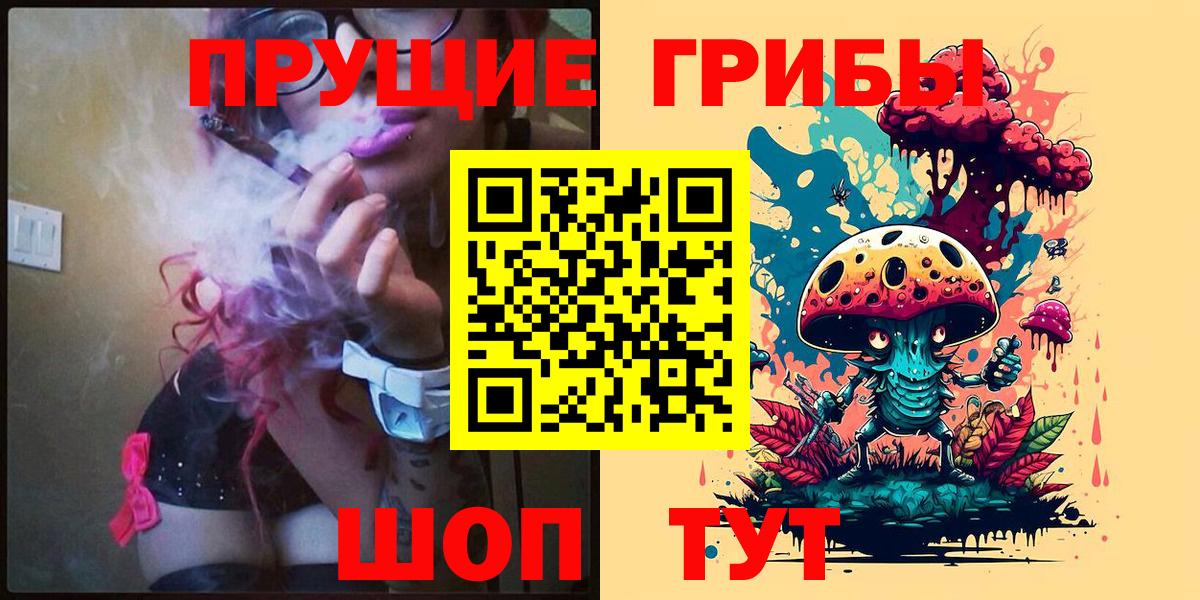 Галлюциногенные грибы Psilocybine cubensis Кстово